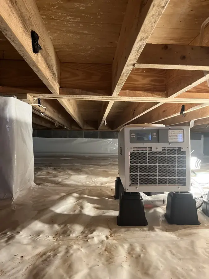 Air movers drying a Cary floor