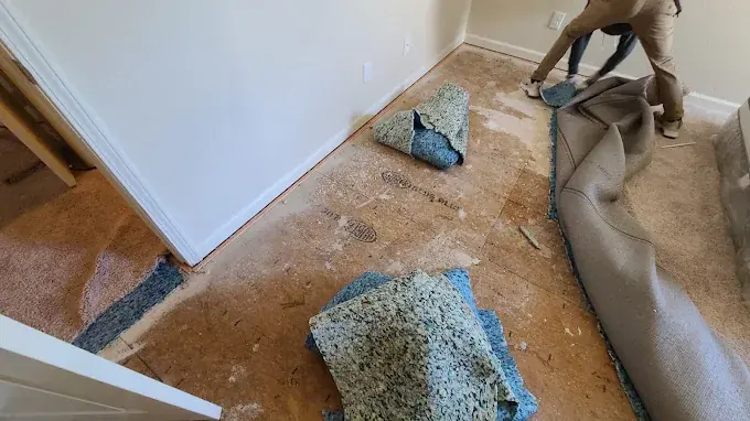 A dehumidifier drying a lower level in a Cary-area home